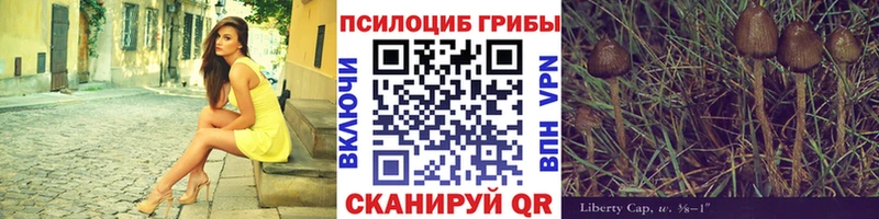 Галлюциногенные грибы мицелий  Купить  Мамоново 